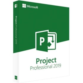 Project Professional 2019 Product CD Key