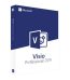 Visio Professional 2019 Product CD Key
