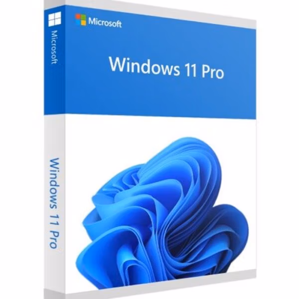 Windows 11 Professional Retail Key