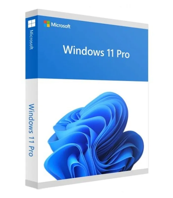 Windows 11 Professional Retail Key