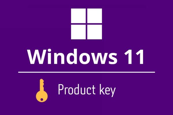 Windows 11 Professional Retail Key Instant Delivery 5938