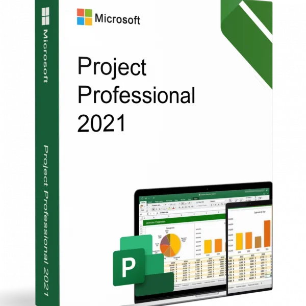 Project Professional 2021 license