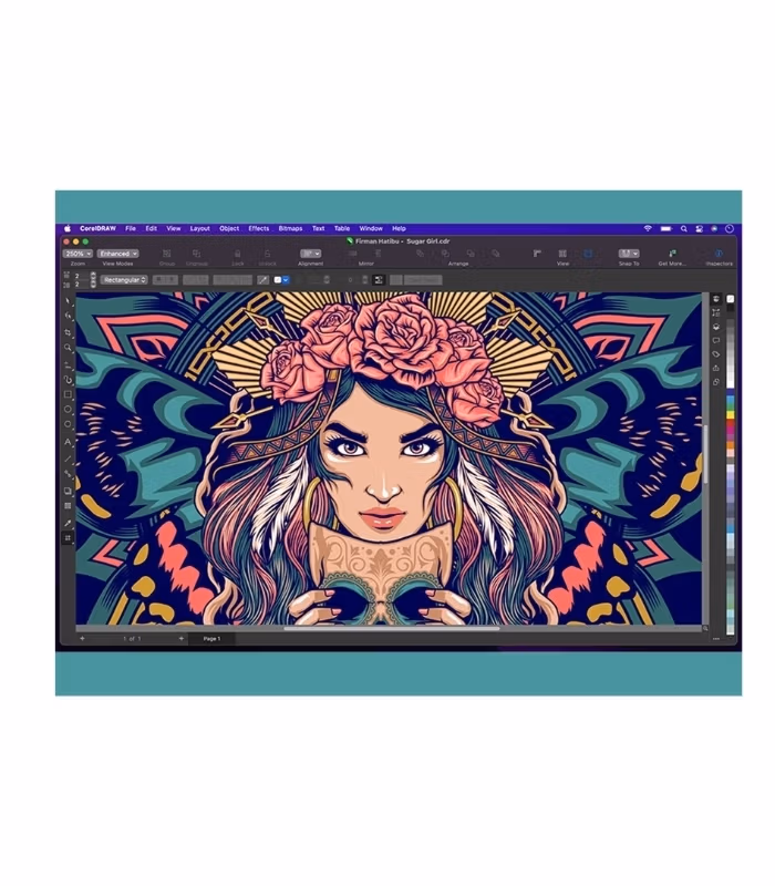 CorelDRAW Graphics Suite 2022 Full Version Lifetime - Image 2