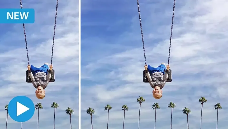 Adobe Photoshop Elements 2023 For Windows – Lifetime Activation