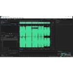 Adobe Audition 2023 for windows lifetime license full version Preactivated