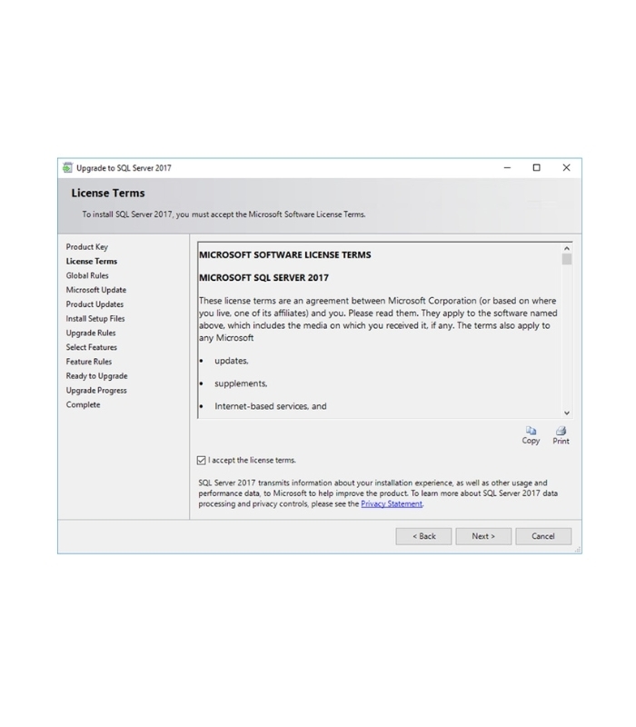 Microsoft SQL Server 2017 Standard - License - CGI KEYS