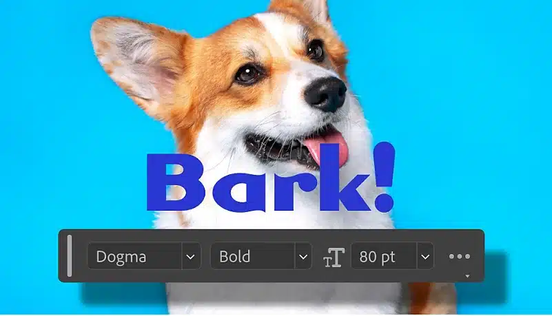 Adobe Photoshop 2024 With Lifetime license for Windows