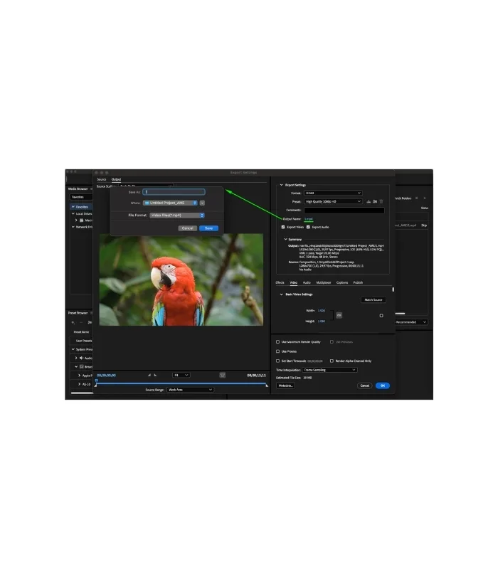 Adobe Media Encoder 2025 Lifetime Activation for Windows - Image 2