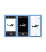 Adobe Capture v9 for Android – Lifetime License - Image 4