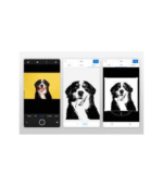 Adobe Capture v9 for Android – Lifetime License - Image 3