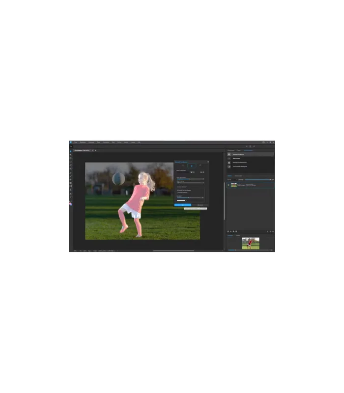 ACDSee Gemstone Photo Editor 12 Lifetime License Windows - Image 3