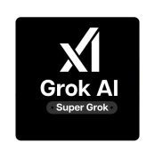 Grok Super Subscription 3